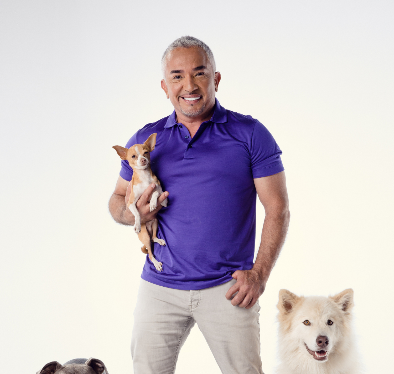 Cesar Millan 2018 Mit Neuem Programm Once Upon A Dog Auf Tour